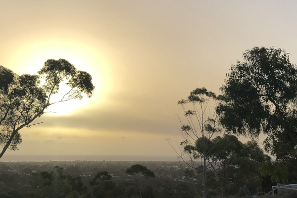 Autum @ Flinders 2019