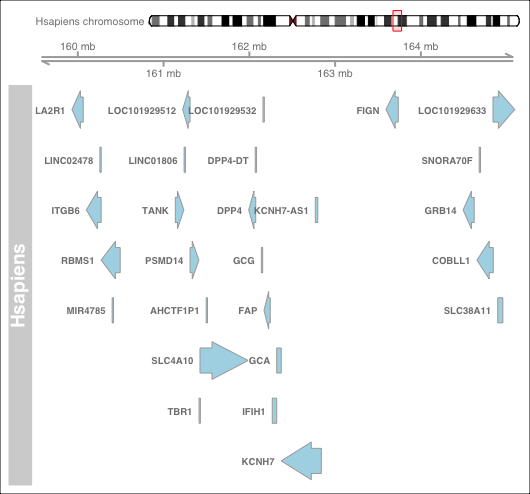Single Synteny Plot