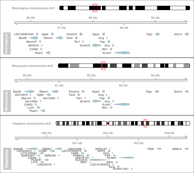 Multiple Synteny Conservation Plot